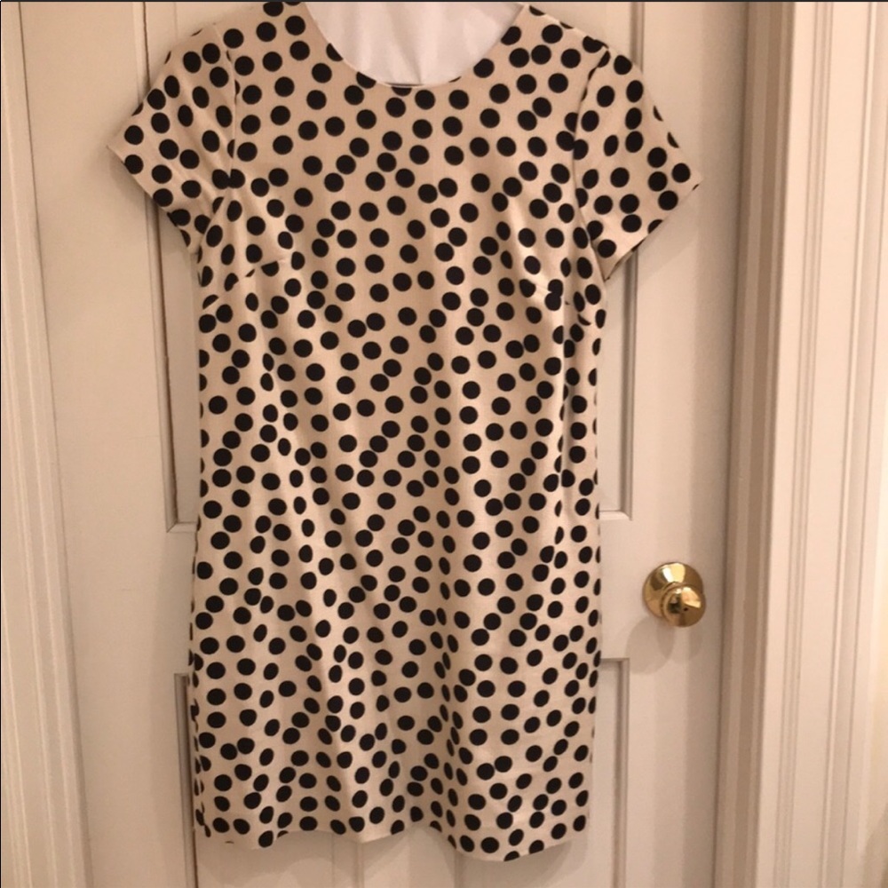J crew polka dot shift dress